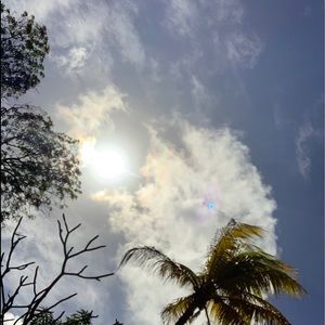 Meet your Posher, Dina